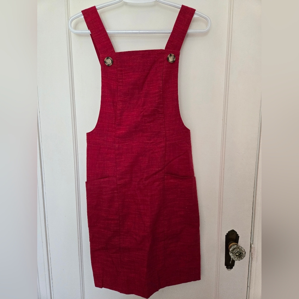 Birds Of North America Sz 4 Crow Red Cotton Mini Dress